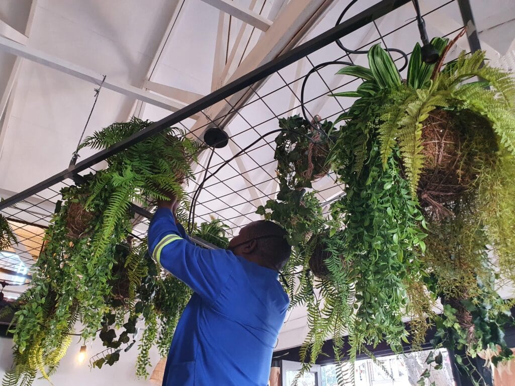 Indoor plant care service guide